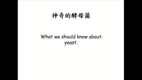 神奇的酵母菌.mp4