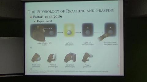 感覺與知覺（0429-2）.MP4