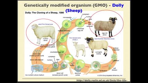 Part II (打開潘朵拉的盒子）.mov