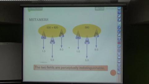 感覺與知覺（0506-3）.MP4