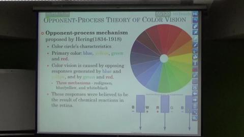 感覺與知覺（0506-4）.MP4