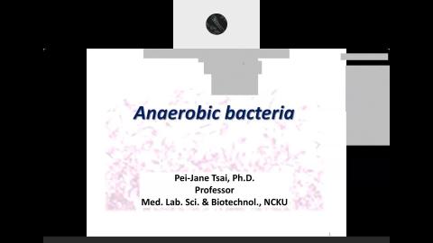 CM20200507 Anaerobes