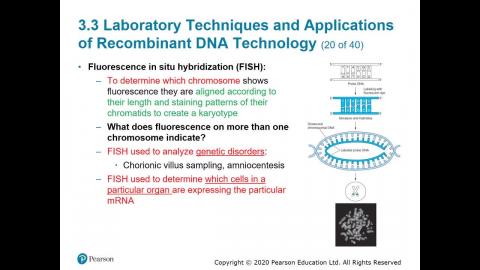 108-2 生物科技概論 05.11.mp4