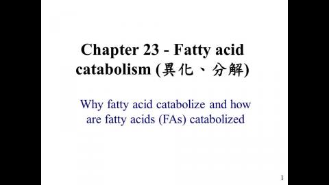 生化: Ch 23 - 中文版