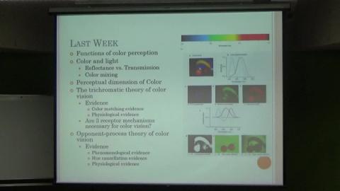 感覺與知覺（0513-1）.MP4