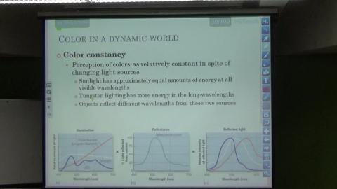感覺與知覺（0513-2）.MP4