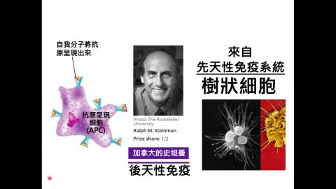 4 免疫活化 Part4.mov