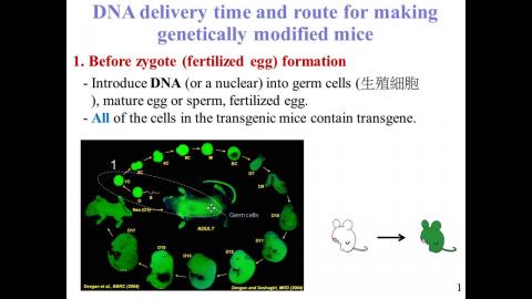 生技概論: Animal Biotechnology II - 中文版