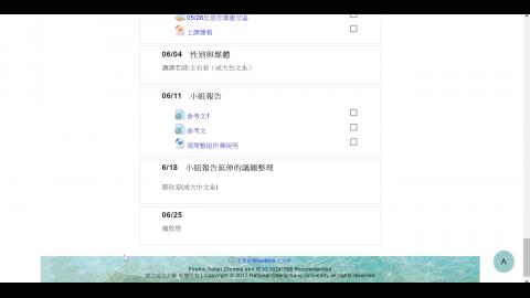 性別與社會期末分組報告