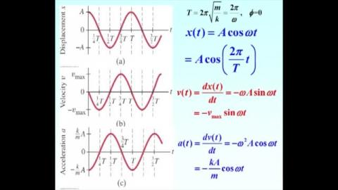 Some comments on position, velocity, and acceleration in SHM