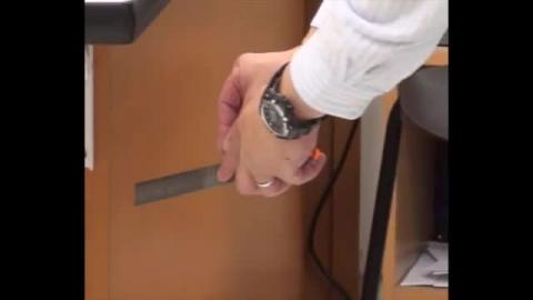 The torsion pendulum