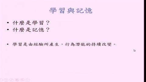 2020-05-27 通識心理學-記憶-林君昱老師.mp4