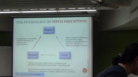 感覺與知覺（0603-3).MP4