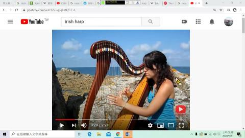 愛爾蘭豎琴.mp4