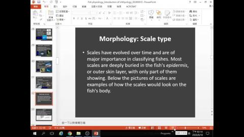 20200910_水生生物組織及生理學02.mp4