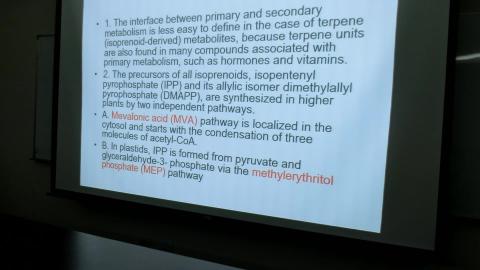 0915植物二次代謝體學-1.MOV