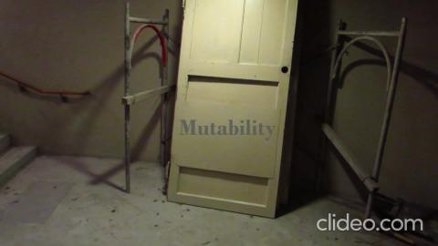 BriLit III 2019 Shelley