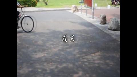 學生心得 - 虛擬成大 - 小灝灝的大學生活