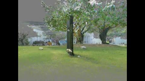 天空 - 點雲掃描 - S-007-01