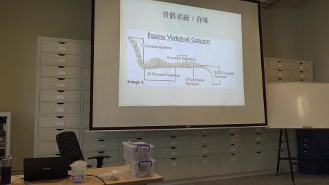 1090918 動物考古學-5