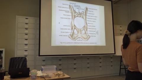 1090918 動物考古學-7