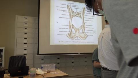 1090918 動物考古學-8