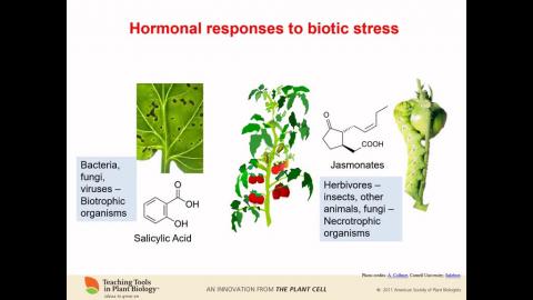 20200921_植物生理與微生物體學 PLANT PHYSIOLOGY AND MICROBIOME