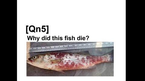 2020-09-22 13-18-34.mp4