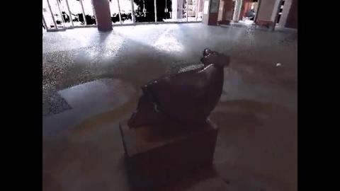 水牛 - 點雲掃描 - S-047-01