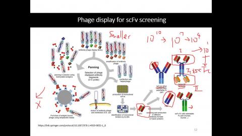 醫學分子檢驗技術-2 2020-09-29 
