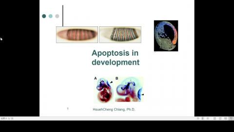 2020-09-25 10-15-31.mp4