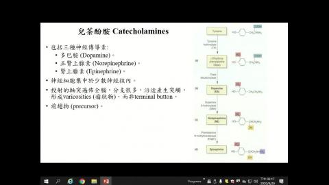 20200929_CH4-2.mp4