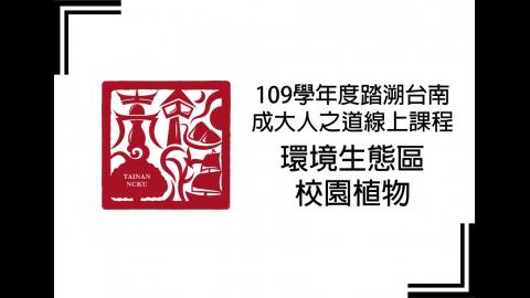 踏溯台南成大人之道環境生態區part1(校園植物)