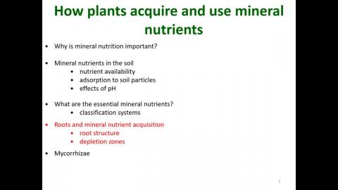 20201012_植物生理與微生物體學 PLANT PHYSIOLOGY AND MICROBIOME