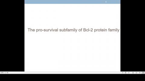 2020-10-16 10-09-16.mp4