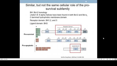 2020-10-16 10-59-22.mp4