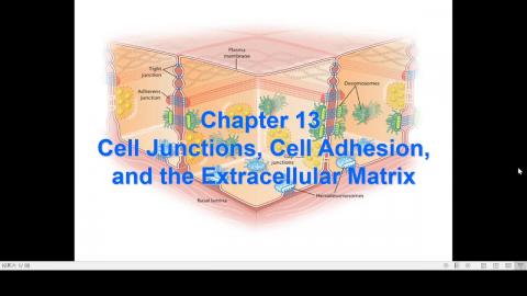 2020-10-14 13-11-02.mp4