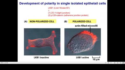 2020-10-14 14-15-34.mp4