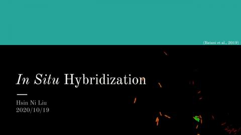 20201019_實驗設計與方法專論 EXPERIMENTAL DESIGNS AND METHODS