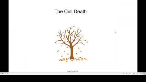 2020-10-21 13-10-54.mp4