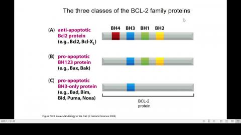 2020-10-21 14-11-45.mp4