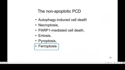 2020-10-21 15-11-43.mp4