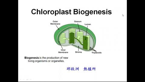 邱啟洲老師實驗室介紹2020.mp4