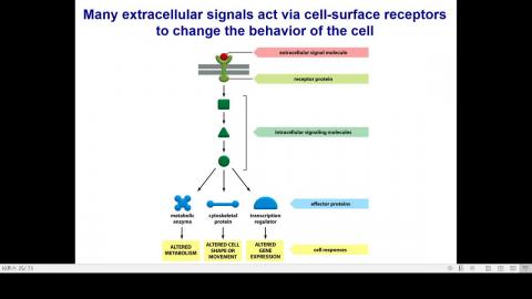 2020-11-04 14-11-12.mp4