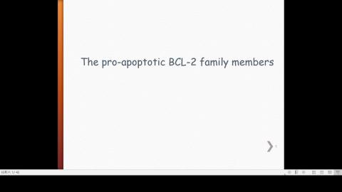 2020-10-30 10-13-50.mp4