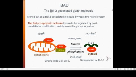 2020-10-30 11-10-36.mp4