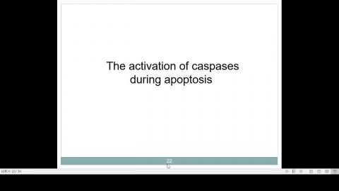 2020-11-06 11-11-21.mp4