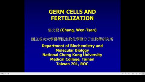 2020-11-18 13-05-35.mp4