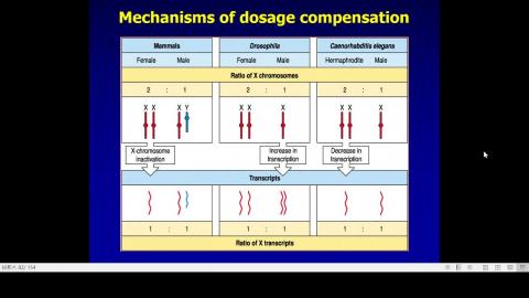 2020-11-18 15-10-09.mp4