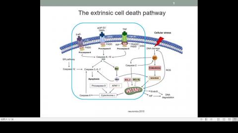 2020-11-20 10-13-08.mp4